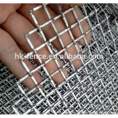 stainless steel/galvanized crimped wire mesh factory